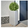 Image de Jardinière triangulaire 50x43x75 cm acier galvanisé