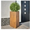 Image de Jardinières 2 pcs triangulaire 50x43x75 cm acier corten 851184