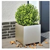 Image de Jardinière 40x40x40 cm acier inoxydable, planteur, jardinière de patio, bac à fleurs, jardinière d'extérieur, boîte à 851207