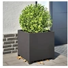 Image de Jardinière noir 50x50x50 cm acier, planteur, jardinière de patio, bac à fleurs, jardinière d'extérieur, boîte à 851213
