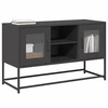 Image de Meuble TV noir 100,5x39x60,5 cm acier, support TV, buffet TV, meuble multimédia, banc TV, meuble hifi, centre de 853380