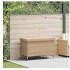 Image de Boîte de rangement de jardin et roues résine tressée