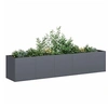 Image de Jardinière anthracite 200x40x40 cm acier laminé à froid