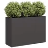 Image de Jardinière noir 120x40x80 cm acier laminé à froid