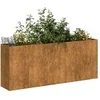 Image de Jardinière rouillé 200x40x80 cm acier inoxydable
