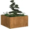 Image de Jardinière rouillé 80x80x40 cm acier inoxydable