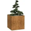 Image de Jardinière rouillé 80x80x80 cm acier inoxydable