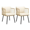Image de Lot de 2 chaise en resine tressee non pliable exterieur H. 76 cm naturel