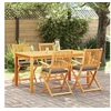Image de Chaises de jardin pliantes avec coussin gris 4pcs en bois d acacia massif