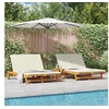 Image de Chaise longue double avec des roulettes et un coussin en bois d acacia massif