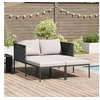 Image de Lot de 1 transat GENERIQUE L. 115 cm en acier H. 69.5 cm non pliable