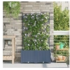 Image de Jardinières avec système d irrigation 2 pcs Gris