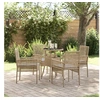 Image de Ensemble de Salle à Manger de Jardin 5 Pièces Beige Poly Rattan