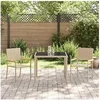 Image de GENERIQUE Salon de jardin - Lot de 3 pièces - Rotin beige - Table fixe et 2 chaises
