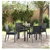 Image de Chaises de jardin avec coussins, set de 2, en rotin PE noir, des sièges extérieurs super confortables, style moderne 3379066