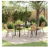 Image de Ensemble de Salle à Manger de Jardin 5 Pièces Marron Poly Rattan