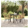 Image de Set de salle à manger de jardin 5 pièces en poly rattan marron