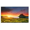Image de TV Professionnel 50UR762H9ZC 127 cm 4K UHD Smart TV Bleu cendré