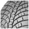 Image de Pneu d'hiver Voiture WinterCraft WP71 275/35 R19 100V