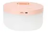 Image de Humidificateur à double spray hydromètre portable pour bureau maison - - Rose