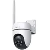 Image de Tapo TC40GW V1 - Caméra de surveillance réseau - panoramique / inclinaison - extérieur - anti-poussière/résistant aux intempéries - couleur (Jour et