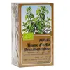 Image de Salus Tisane Ortie Bio 15 sachets