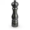 Image de Paris chef moulin à sel manuel en inox, carbone, u'select, 22 cm -