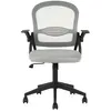 Image de Chaise de bureau ergonomique, gris