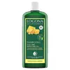 Image de Logona Soins Capillaires Shampoing Volumateur au Miel & à la Bière Bio 250ml
