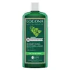 Image de Logona Soins Capillaires Shampoing Soin Brillance Ortie Bio 250ml