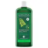 Image de Logona Soins Capillaires Shampoing Brillance à l'Ortie Bio 500ml