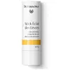 Image de Dr Hauschka Stick Eclat des Lèvres 4,9 g