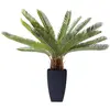 Image de Plante artificielle palmier en polyéthylène et béton h78