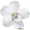 Image de Déco murale orchidée blanche et dorée en polyrésine h25
