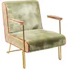Image de Fauteuil en velours vert et acier doré