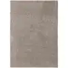 Image de Tapis à poils longs gris clair 200x250