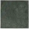 Image de Tapis à poils longs vert clair 200x200