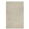 Image de Tapis poils longs douces microfibre beige grisé 120x170