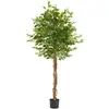 Image de Ficus artificiel à l'aspect naturel avec beaucoup de volume 180cm