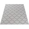 Image de Tapis brillant style salon, gris, 80 x 150 cm