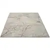 Image de Tapis poils courts noeuds salon moderne, crème, 160 x 230 cm