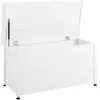 Image de Coffre de rangement 123 cm 60 cm blanc