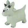 Image de Animal sauteur gonflable, Dino