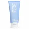 Image de ICE Masque capillaire violet cheveux blonds VEGAN