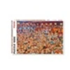 Image de Puzzle carton adulte 1000 pieces RUYER Carton Multicolore
