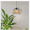 Image de Suspension Anwick