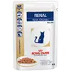 Image de Croquettes royal canin veterinary diet renal pour chats bouchées en sauce poulet 12 sachets 85 g
