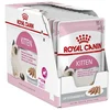 Image de Royal Canin Boîte De Pâté Pour Chaton 85g 12 Unités One Size