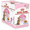Image de Patee chat kitten steri gelee 12x85g ROYAL CANIN 10720102