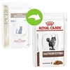 Image de Royal Canin Veterinary Diet Gastro Intestinal - Sachets pour chat - 12 x 85g